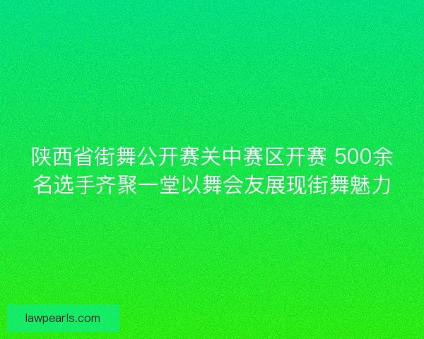 陕西省街舞公开赛关中赛区开赛 500余名选手齐聚一堂以舞会友展现街舞魅力
